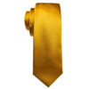 Gold tie - Image 4