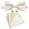 Groom bow tie