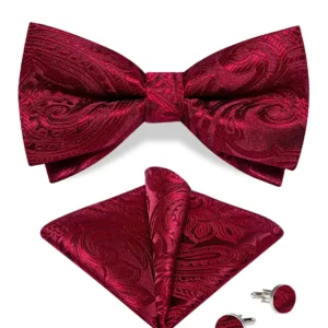 Luxe Bordeaux Rode Paisley Vlinderdas Set